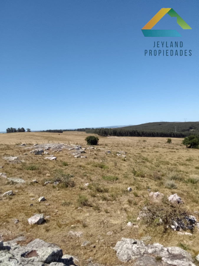Campo Ref.336 - SE VENDE CAMPO 109 HECTAREAS EN SAN CARLOS 