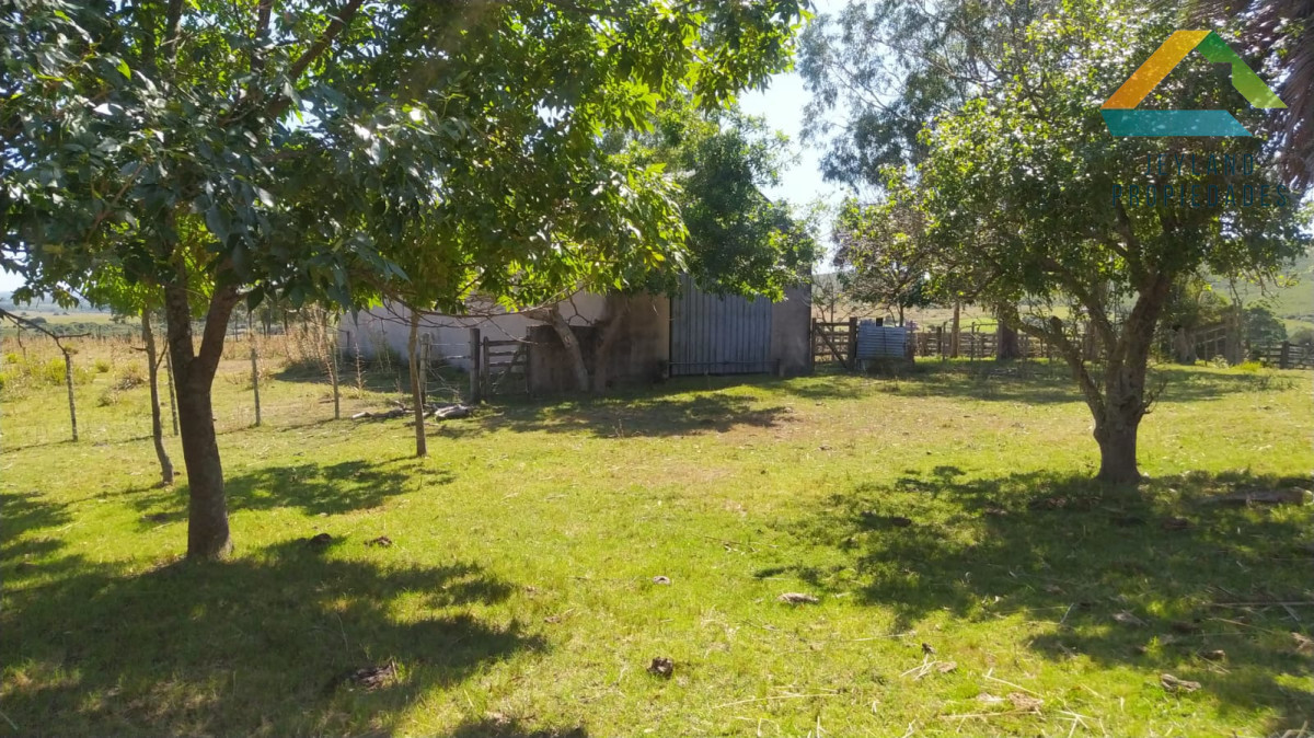 Campo Ref.371 - Campo en Paraje Las Cañas