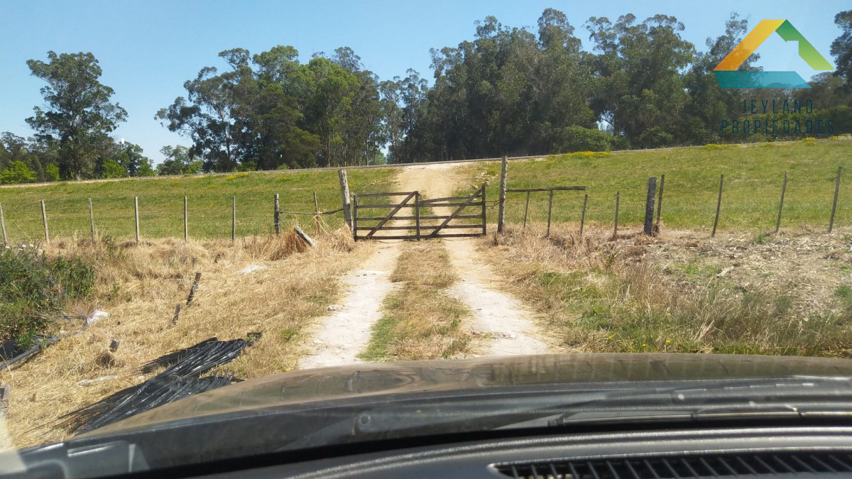 Campo Ref.318 - SE VENDE CAMPO EN PRIMERA LINEA RUTA 9 