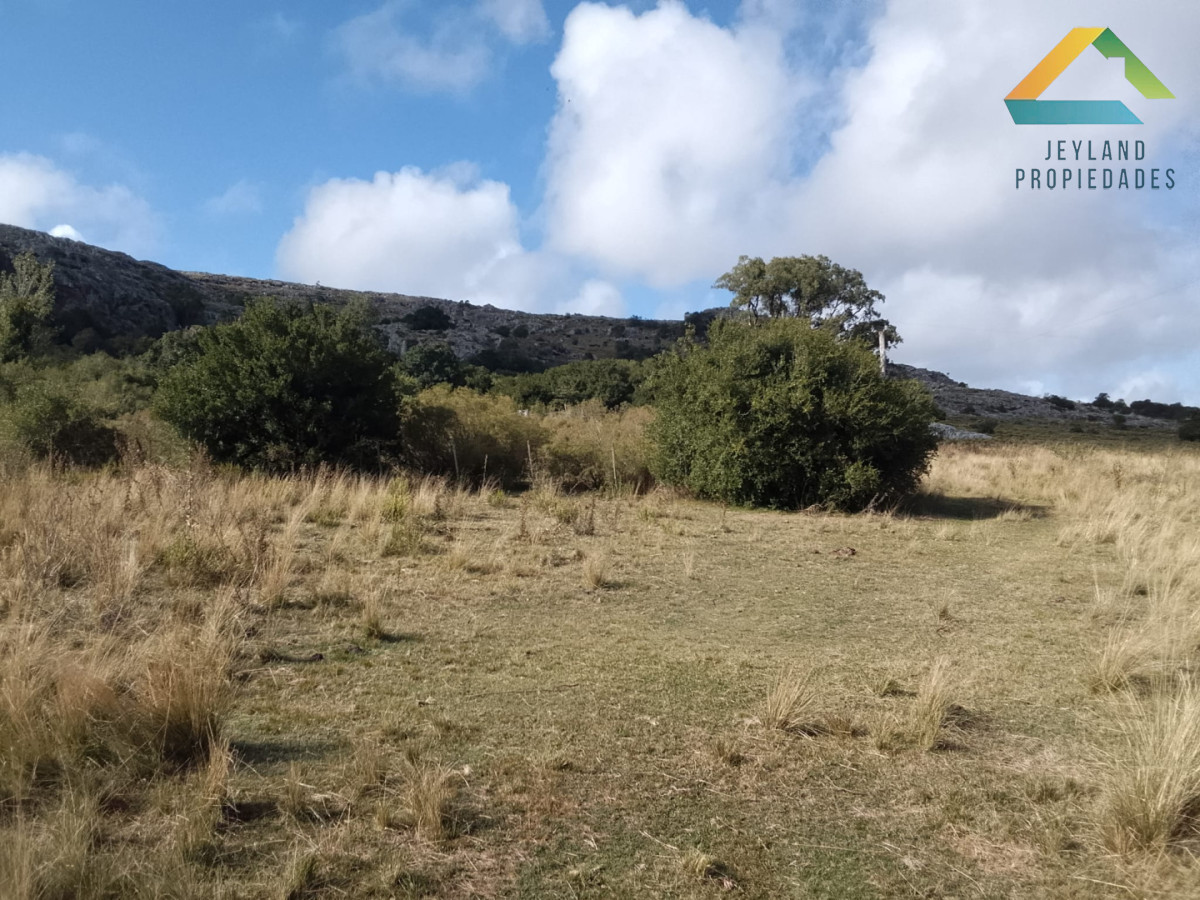Campo Ref.525 - CAMPO 51 Ha ZONA LAS CAÑAS 