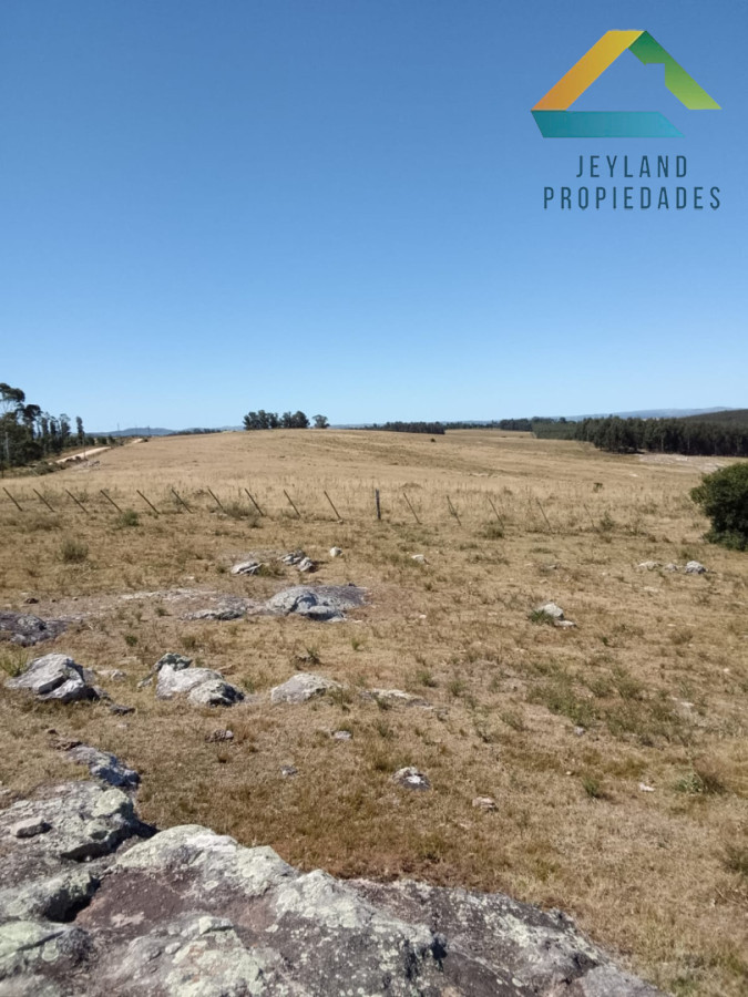 Campo Ref.336 - SE VENDE CAMPO 109 HECTAREAS EN SAN CARLOS 