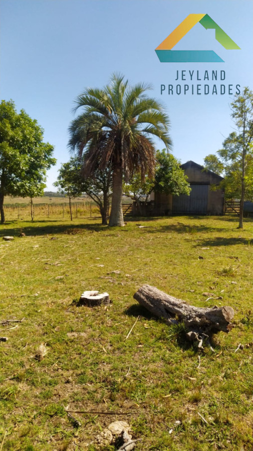 Campo Ref.371 - Campo en Paraje Las Cañas