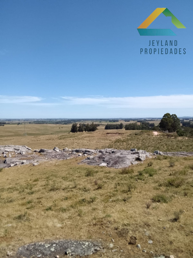 Campo Ref.336 - SE VENDE CAMPO 109 HECTAREAS EN SAN CARLOS 