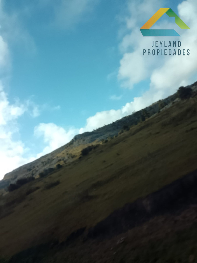Campo Ref.525 - CAMPO 51 Ha ZONA LAS CAÑAS 