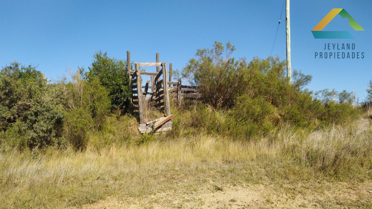Campo Ref.404 - SE VENDE CAMPO DE 66 Ha CORTE DE LA LEÑA 