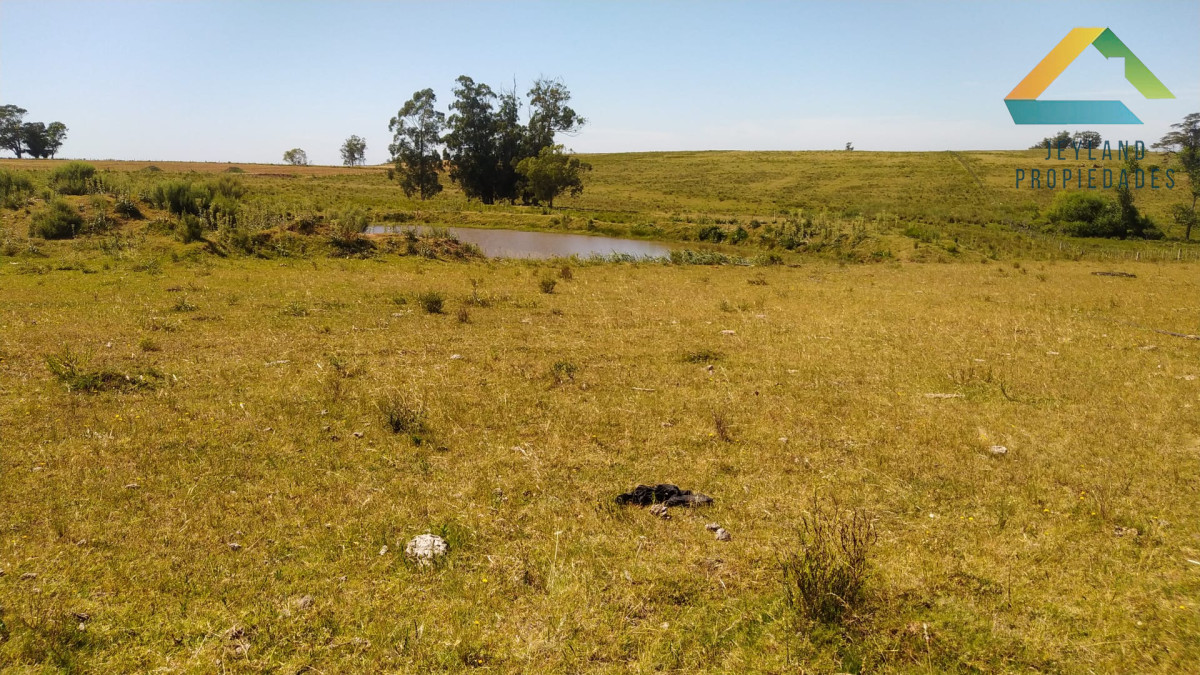 Campo Ref.318 - SE VENDE CAMPO EN PRIMERA LINEA RUTA 9 