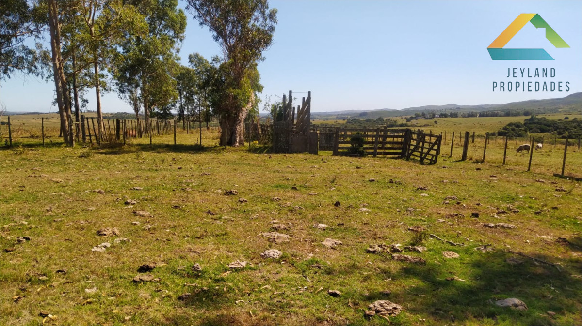 Campo Ref.371 - Campo en Paraje Las Cañas