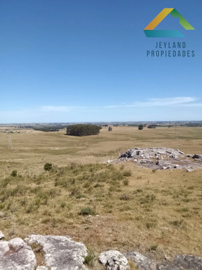 Campo Ref.336 - SE VENDE CAMPO 109 HECTAREAS EN SAN CARLOS 