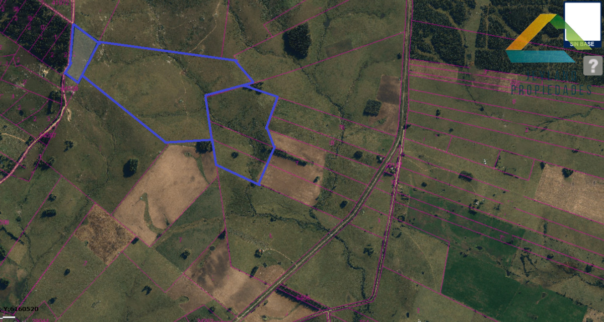 Campo Ref.336 - SE VENDE CAMPO 109 HECTAREAS EN SAN CARLOS 