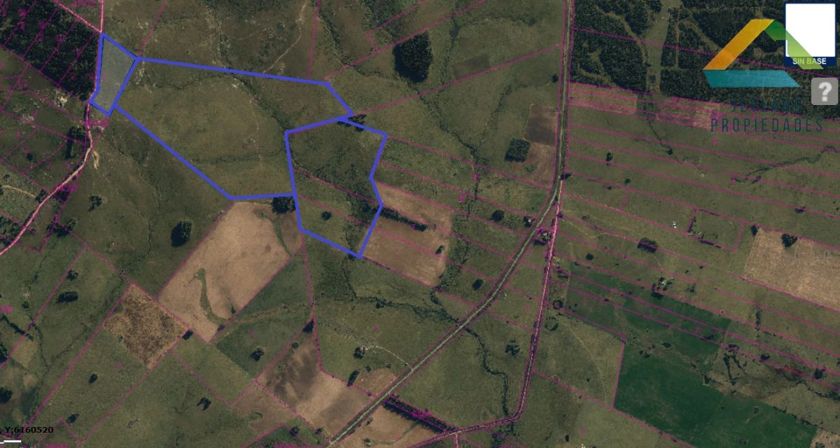 Campo Ref.336 - SE VENDE CAMPO 109 HECTAREAS EN SAN CARLOS 