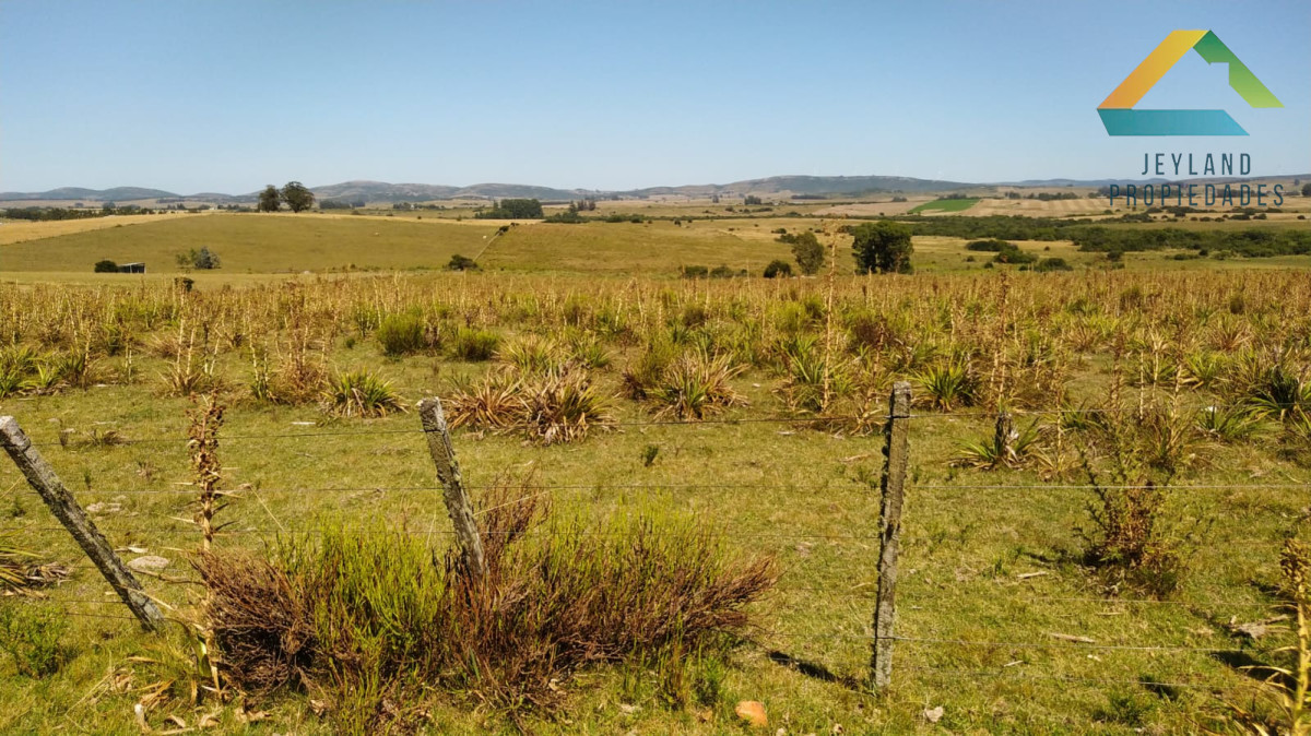 Campo Ref.371 - Campo en Paraje Las Cañas