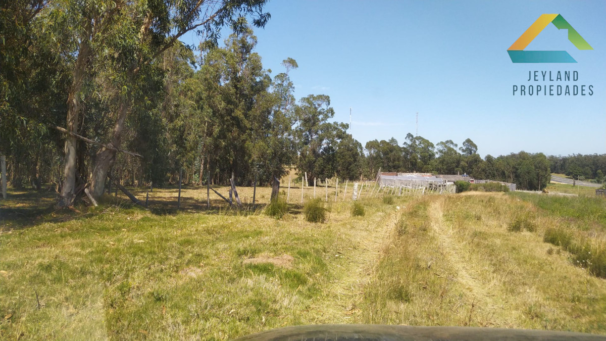 Campo Ref.318 - SE VENDE CAMPO EN PRIMERA LINEA RUTA 9 