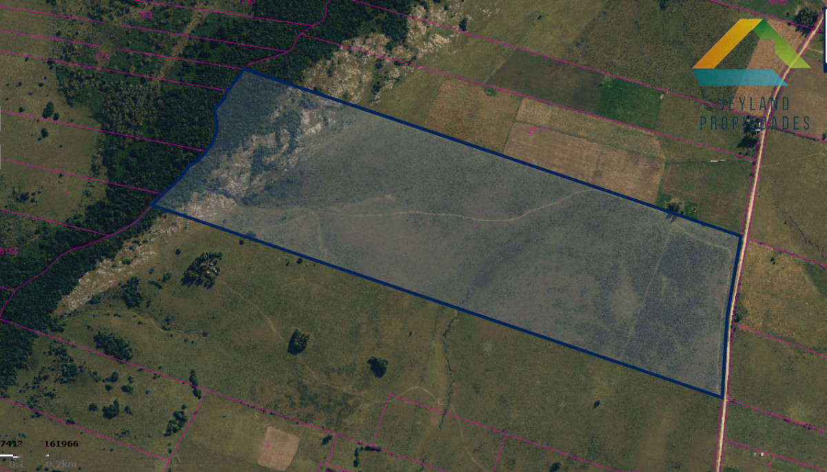 Campo Ref.404 - SE VENDE CAMPO DE 66 Ha CORTE DE LA LEÑA 