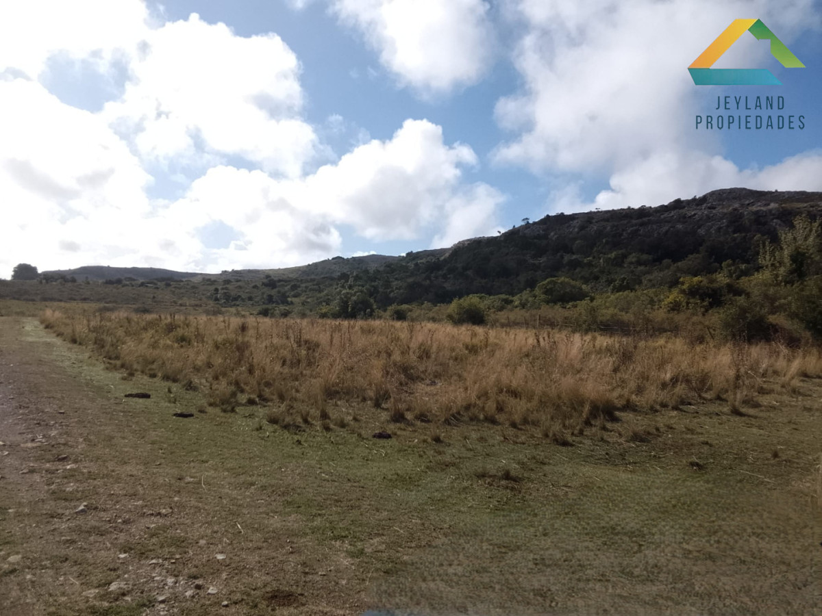 Campo Ref.525 - CAMPO 51 Ha ZONA LAS CAÑAS 