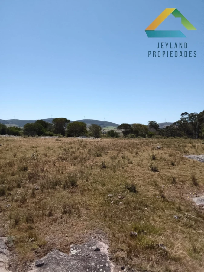 Campo Ref.336 - SE VENDE CAMPO 109 HECTAREAS EN SAN CARLOS 