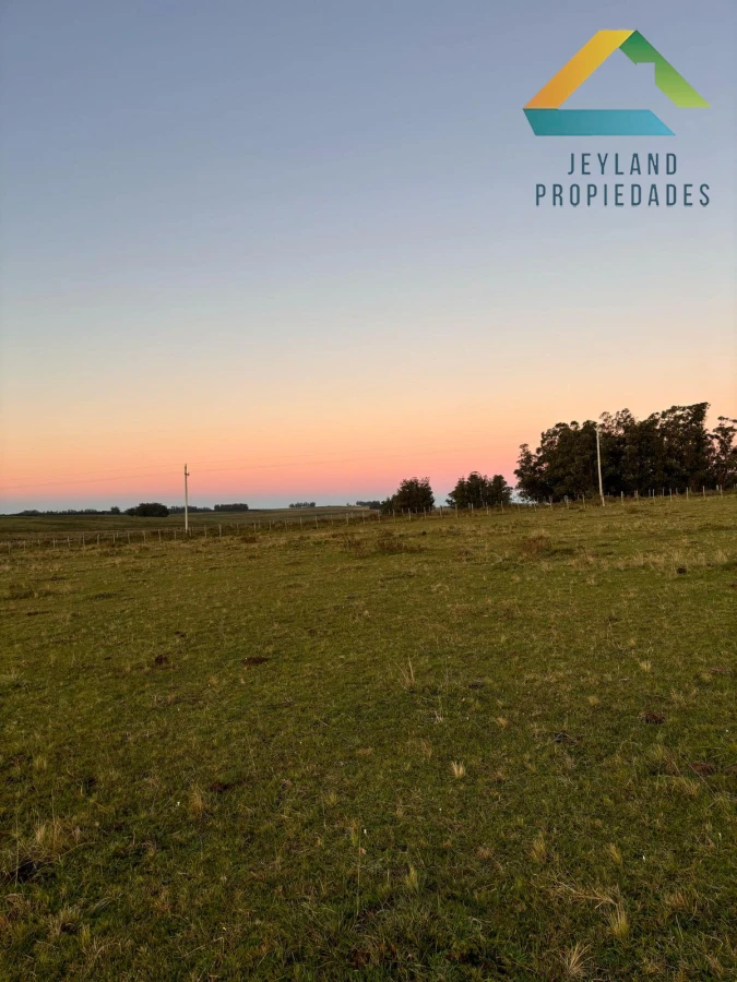 Campo Ref.137 - SE VENDE CAMPO 21 HECTAREAS JOSE IGNACIO