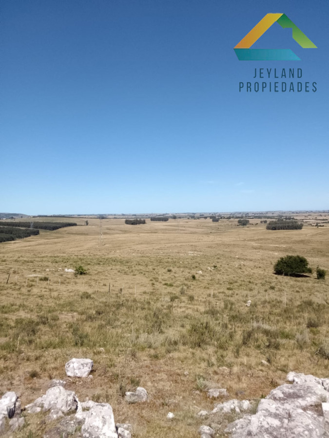 Campo Ref.336 - SE VENDE CAMPO 109 HECTAREAS EN SAN CARLOS 