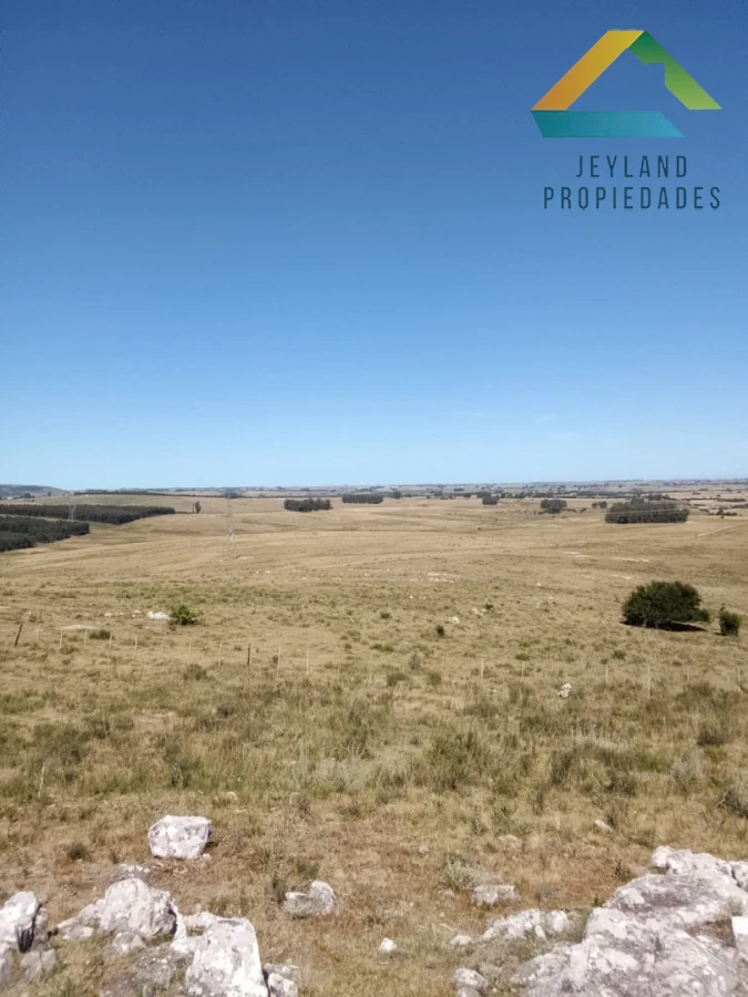 Campo Ref.336 - SE VENDE CAMPO 109 HECTAREAS EN SAN CARLOS 