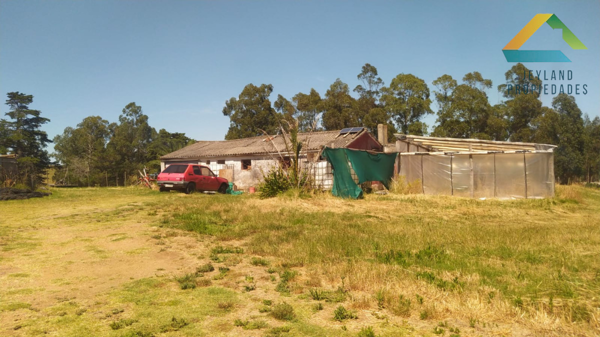 Campo Ref.318 - SE VENDE CAMPO EN PRIMERA LINEA RUTA 9 