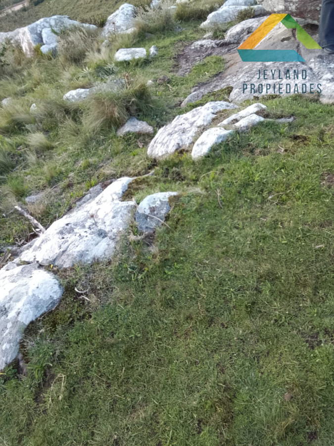 Campo Ref.525 - CAMPO 51 Ha ZONA LAS CAÑAS 