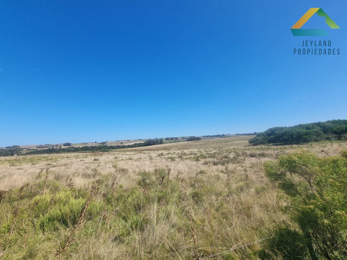 Campo Ref.403 - Campo en Venta - 101 Hectáreas en José Ignacio