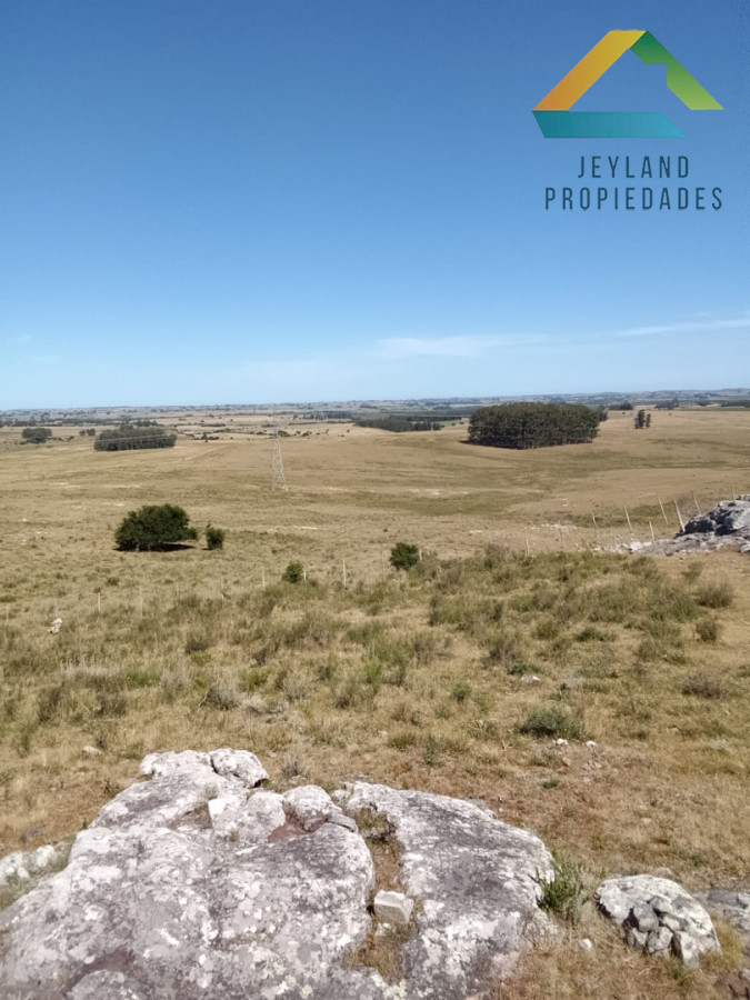 Campo Ref.336 - SE VENDE CAMPO 109 HECTAREAS EN SAN CARLOS 