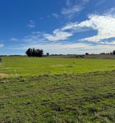 SE VENDE CAMPO 21 HECTAREAS JOSE IGNACIO