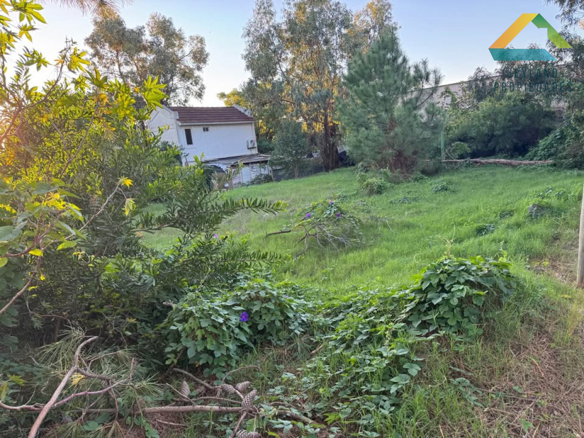 Terreno ID.543 -  TERRENO EN VENTA - BARRIO PARQUE SAUSALITO, MALDONADO