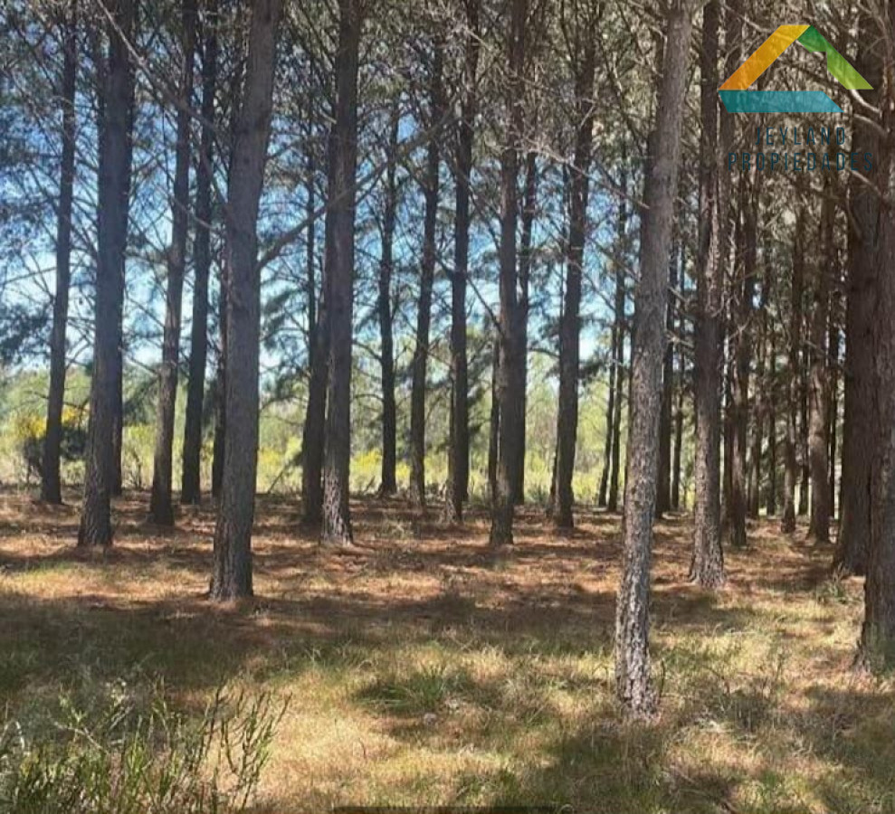 Terreno ID.222 - SE VENDE TERRENO DE 1000 m² EN CHACRAS DEL PINAR 