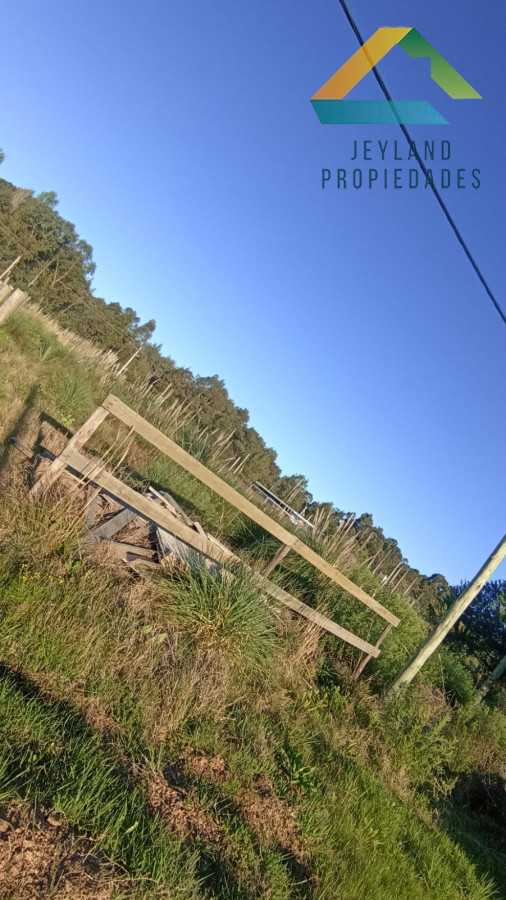 Terreno ID.267 - SE VENDE TERRENO EN LA BOTA