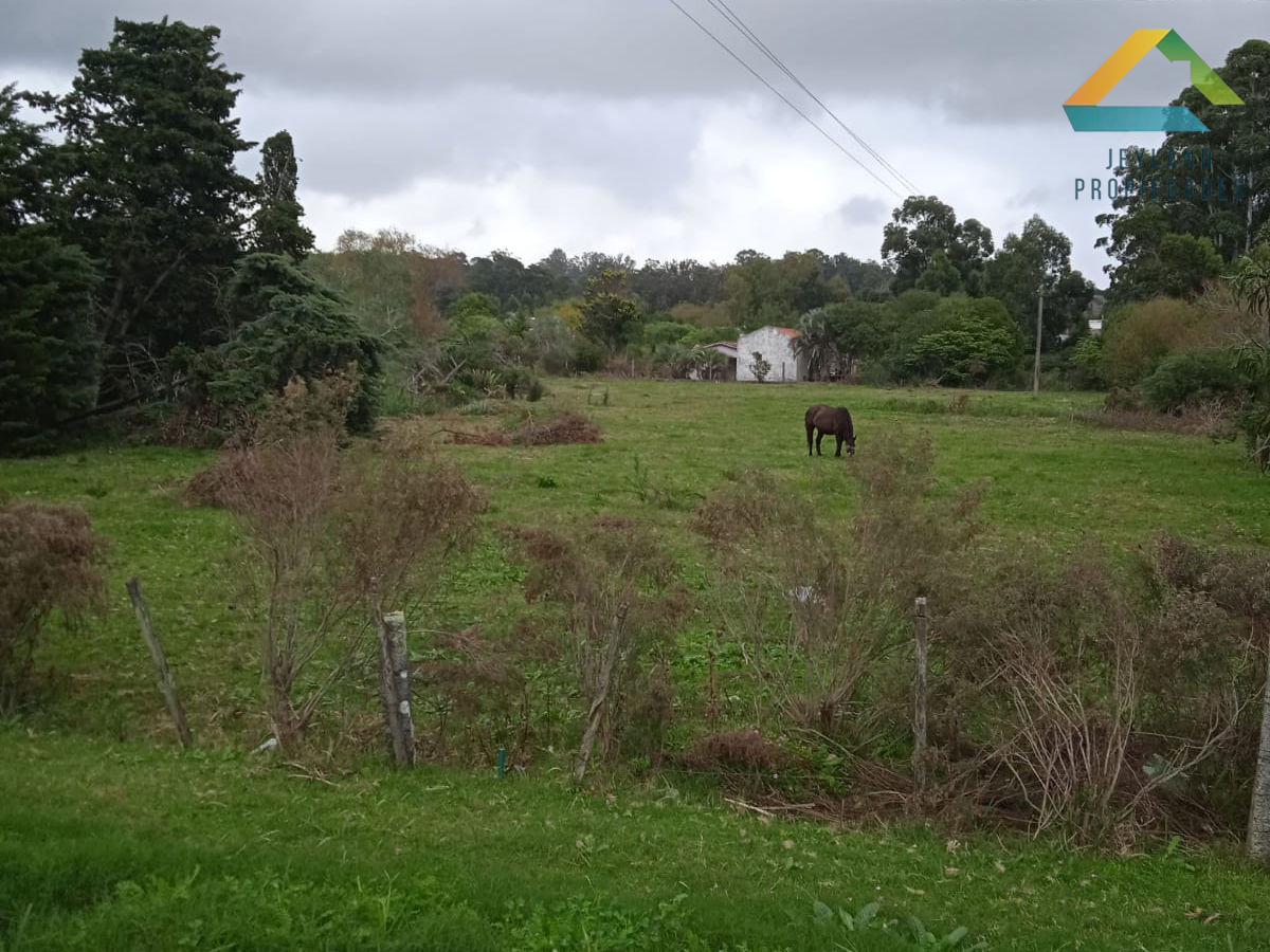 Terreno ID.22 - SE VENDE TERRENO 6800 M2  CANTERA DE MARELLI SOBRE RUTA