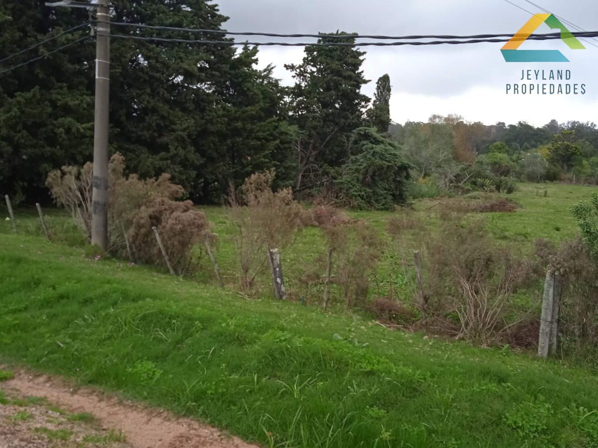 Terreno ID.22 - SE VENDE TERRENO 6800 M2  CANTERA DE MARELLI SOBRE RUTA