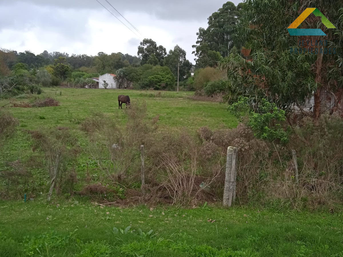 Terreno ID.22 - SE VENDE TERRENO 6800 M2  CANTERA DE MARELLI SOBRE RUTA