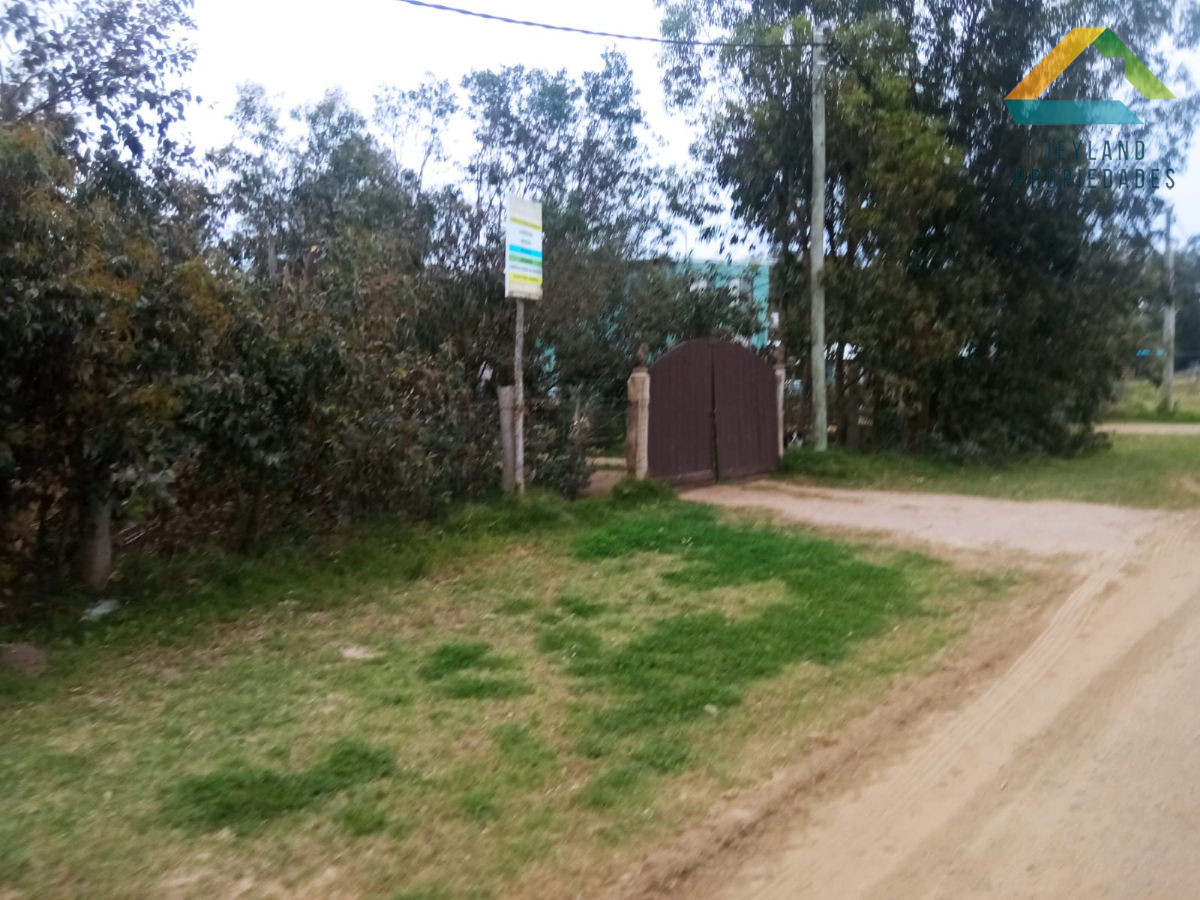 Terreno ID.32 - SE VENDE TERRENO CON GALPON EN SAUCE DE PORTEZUELO FRENTE A RUTA