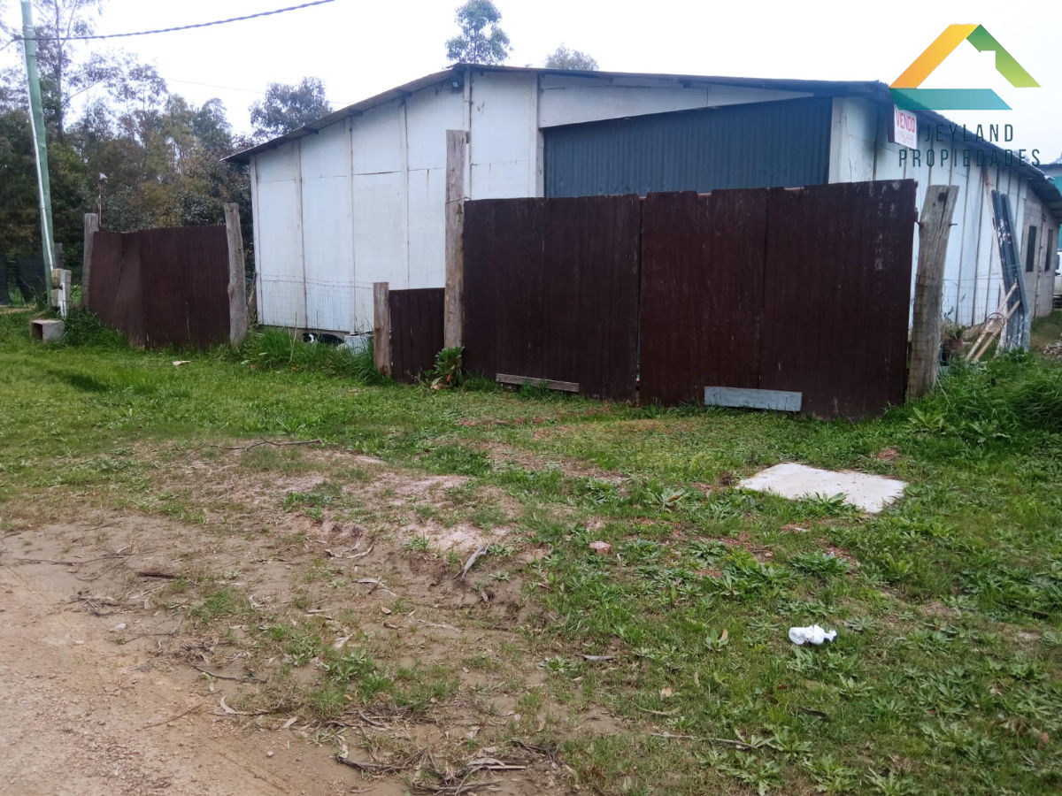 Terreno ID.32 - SE VENDE TERRENO CON GALPON EN SAUCE DE PORTEZUELO FRENTE A RUTA