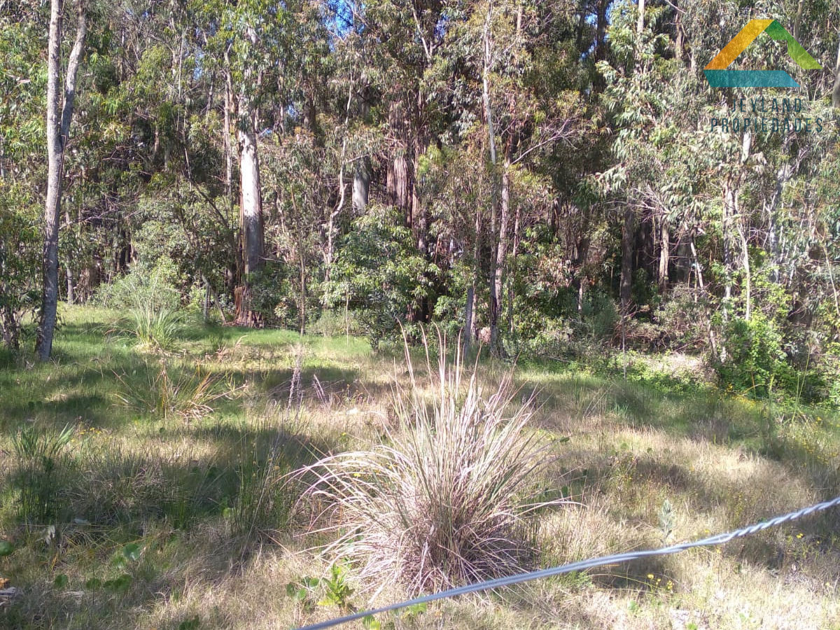 Terreno ID.33 - SE VENDE TERRENO POR GRAL. LEANDRO GOMEZ PROYECTO LOCALES Y APTOS