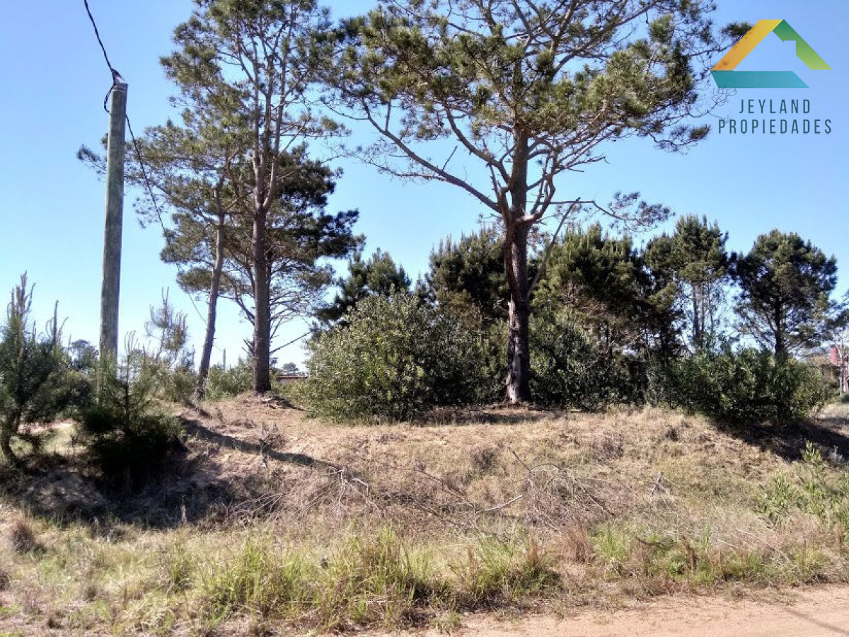 Terreno ID.3 - SE VENDE TERRENO EN LA VIUDA PUNTA DEL DIABLO