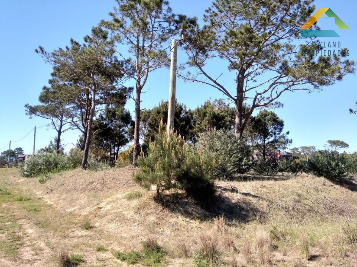 Terreno ID.3 - SE VENDE TERRENO EN LA VIUDA PUNTA DEL DIABLO