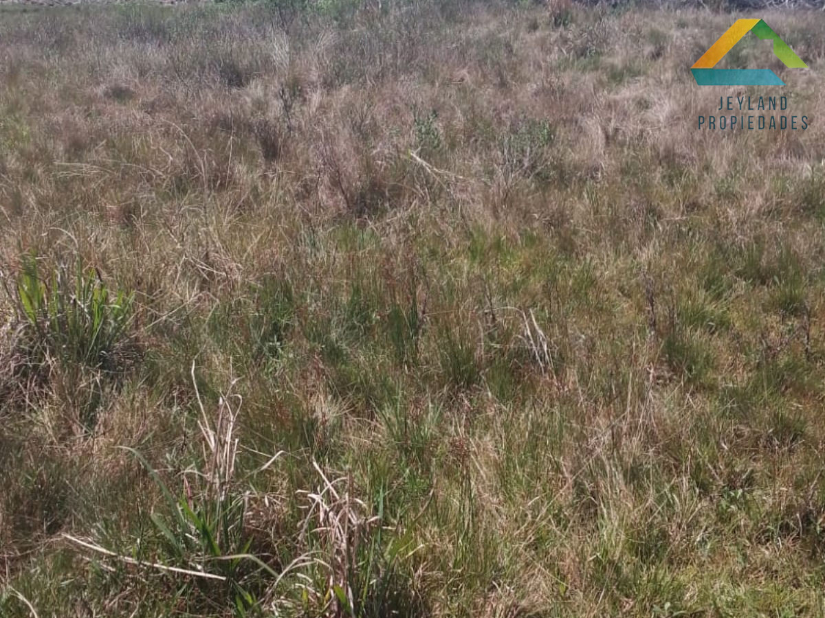 Terreno ID.44 - SE VENDE TERRENO EN LA BARRA DEL CHUY(LADO BRASILERO)