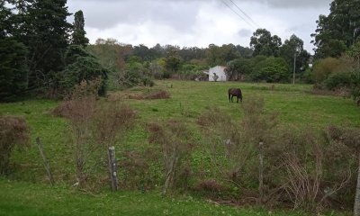 SE VENDE TERRENO 6800 M2  CANTERA DE MARELLI SOBRE RUTA