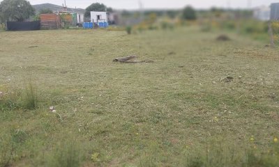 SE VENDE TERRENO EN PAN DE AZUCAR (GERONA km 110)  SUPERFICIE 609 M2