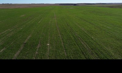 Venta Campo Ganadero Florida.