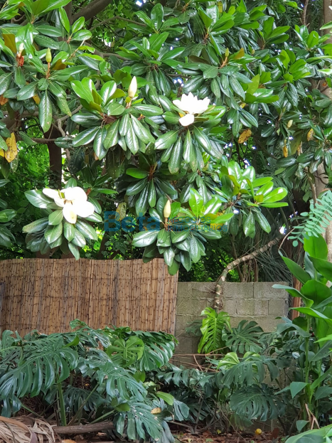 Casa ID.19 - VENTA CASA 2 DORMITORIOS, COCHERA,  MONTE DE SOLYMAR