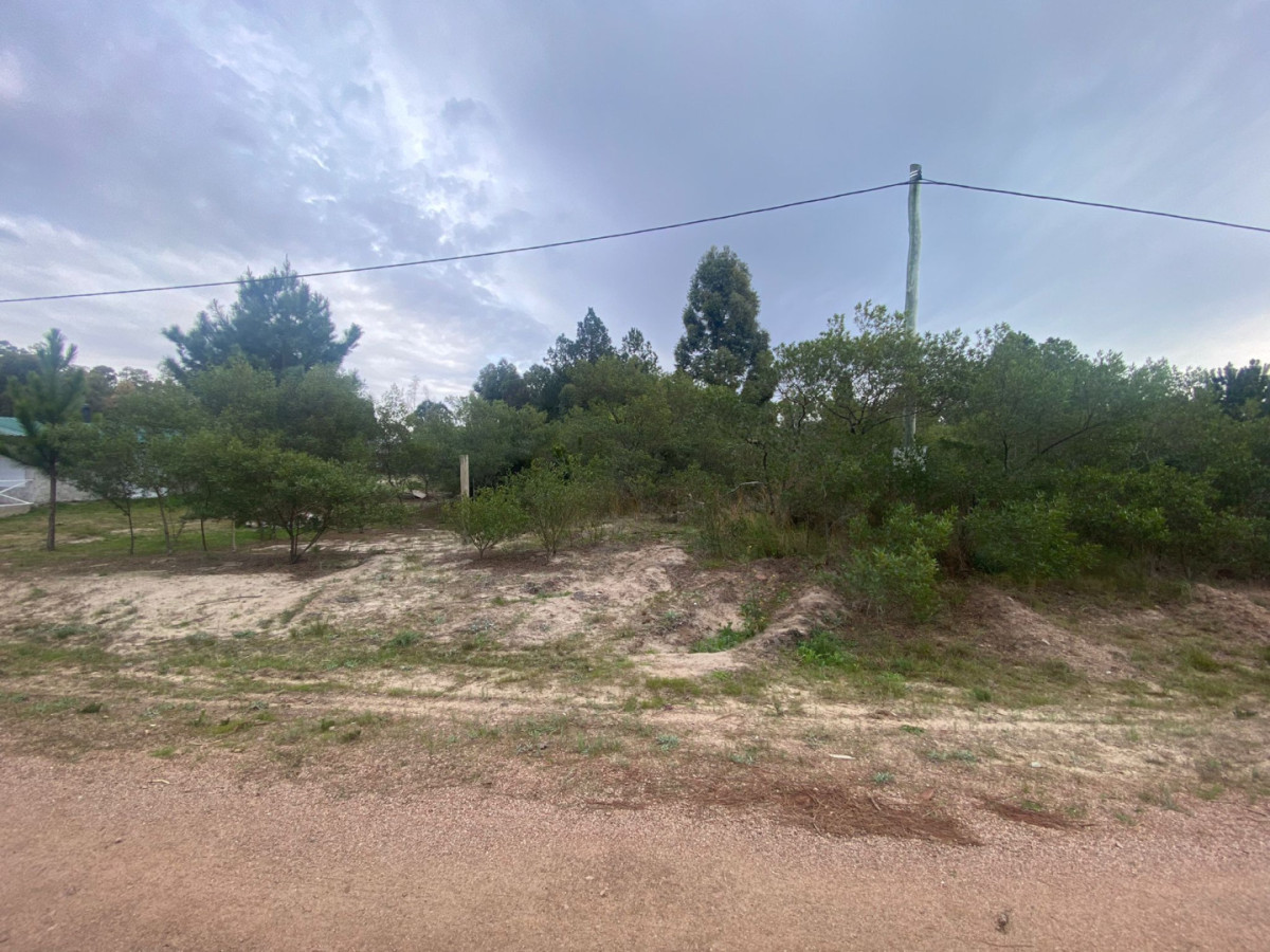 Terreno ID.4 - VENTA DE TERRENO SANTA REGINA 