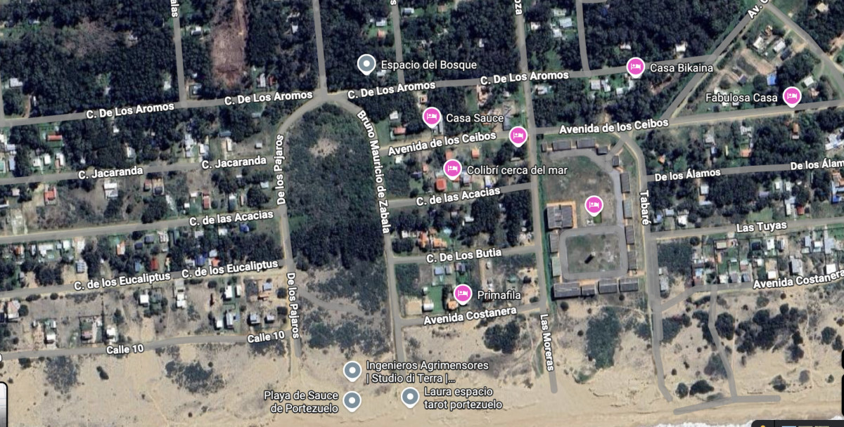 Terreno ID.6 - VENTA DE TERRENO SAUCE DE PORTEZUELO 