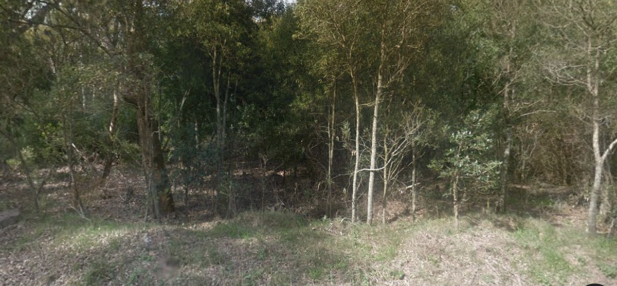 Terreno ID.6 - VENTA DE TERRENO SAUCE DE PORTEZUELO 