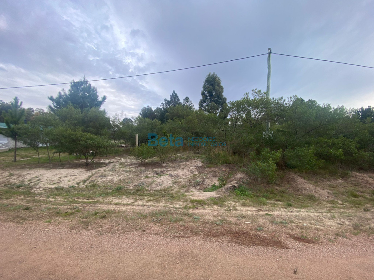 Terreno ID.4 - VENTA DE TERRENO SANTA REGINA 