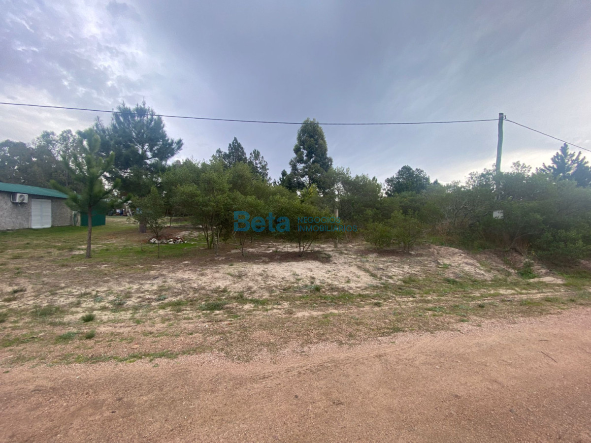 Terreno ID.4 - VENTA DE TERRENO SANTA REGINA 