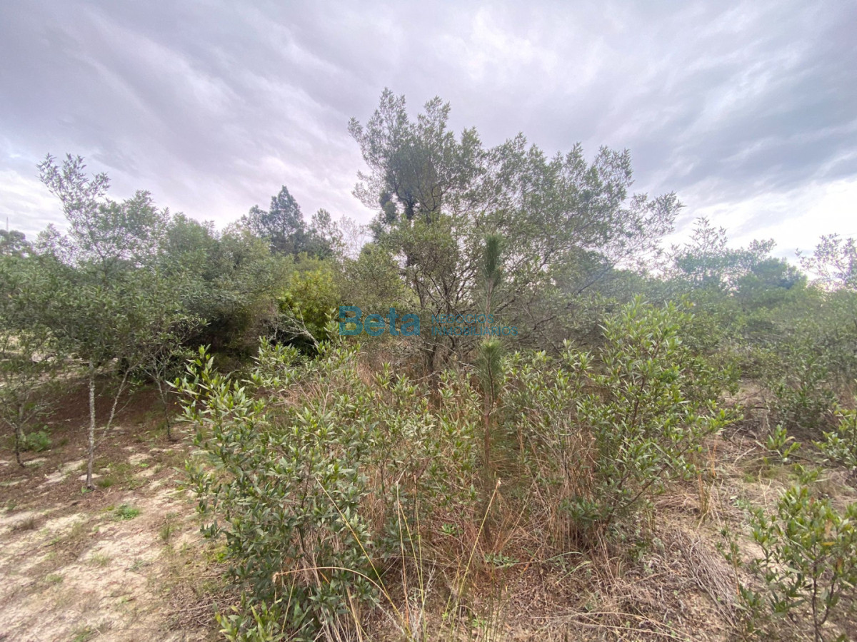 Terreno ID.4 - VENTA DE TERRENO SANTA REGINA 