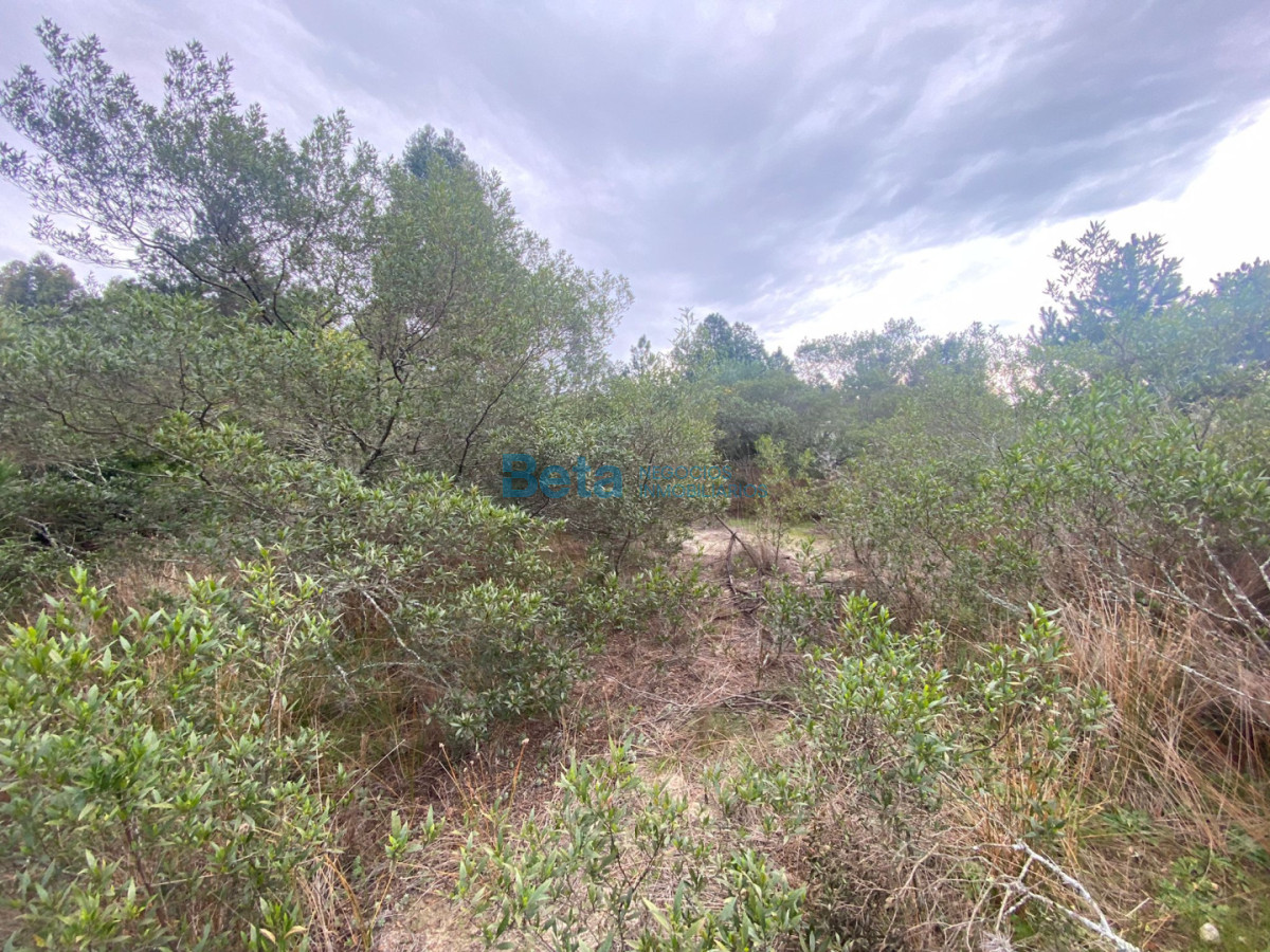 Terreno ID.4 - VENTA DE TERRENO SANTA REGINA 